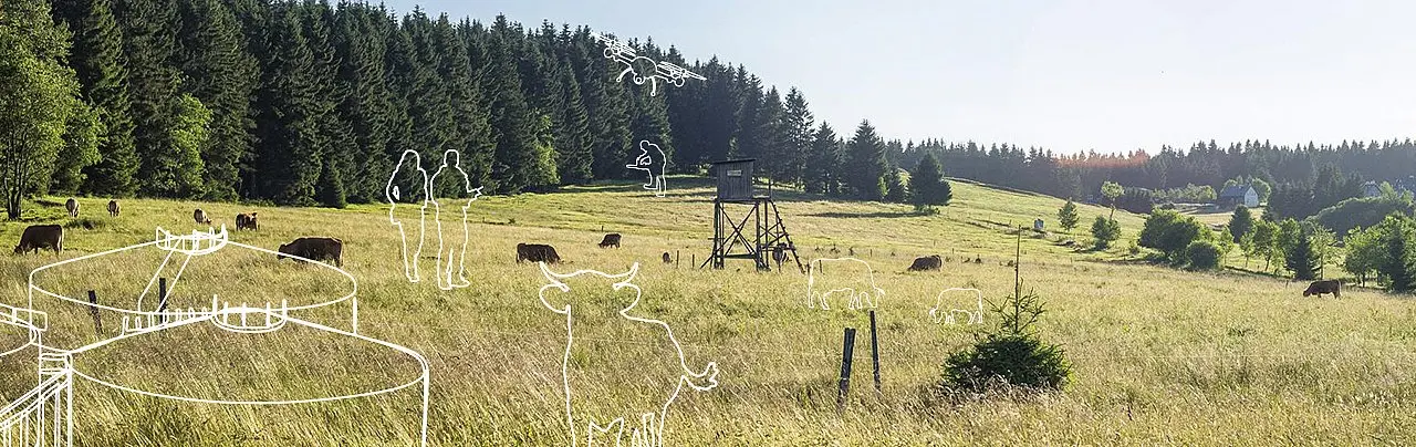 Überblick über eine Grünlandwiese mit einem Wald im Hintergrund. Graphisch sind weidende Kühe, ein Landwirt und eine Landwirtin mit einer fliegenden Drohne und ein Holzfäller im Hintergrund zu sehen.